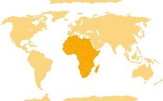 Schleich Giraffe Mannetje 14749 - Bruin