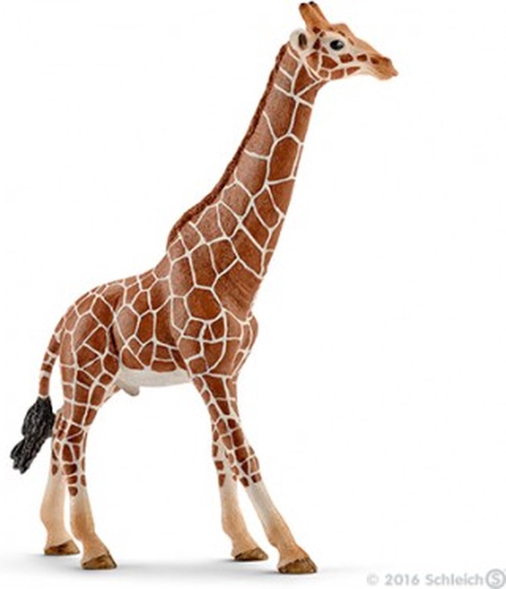 Schleich Giraffe Mannetje 14749 - Bruin