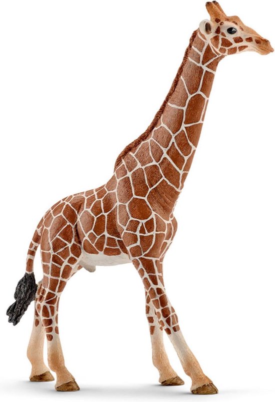 Schleich Giraffe Mannetje 14749 - Bruin