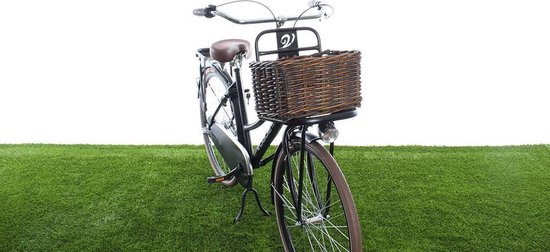 New Looxs Fietmand Brisbane Voor 23 Liter - Bruin