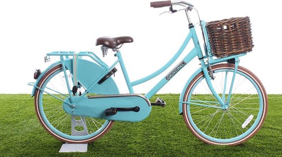 New Looxs Fietmand Brisbane Voor 23 Liter - Bruin