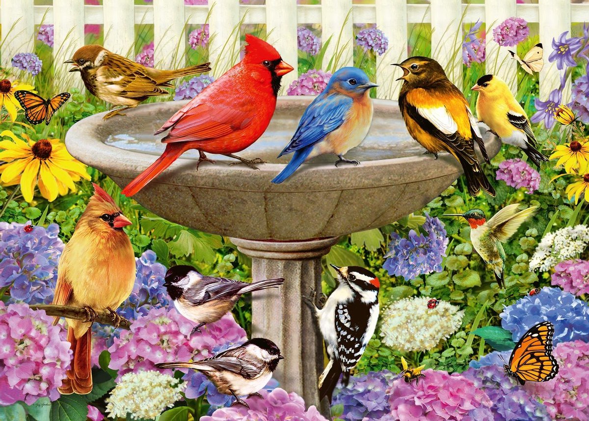 Ravensburger Puzzel Het Vogelbad 500 Stukjes Extra Groot