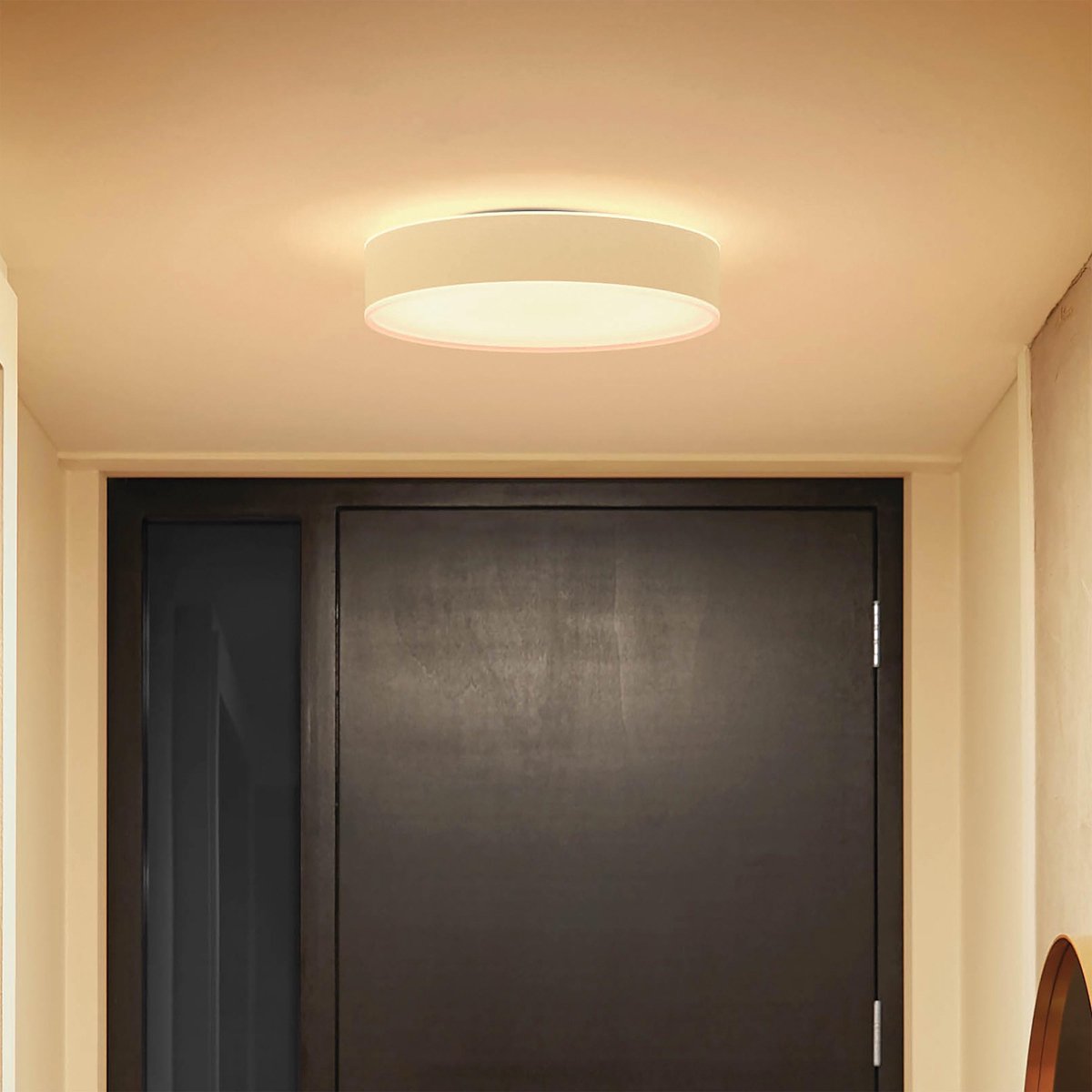 Philips HUE Enrave plafondlamp WA DS 26 cm - Wit