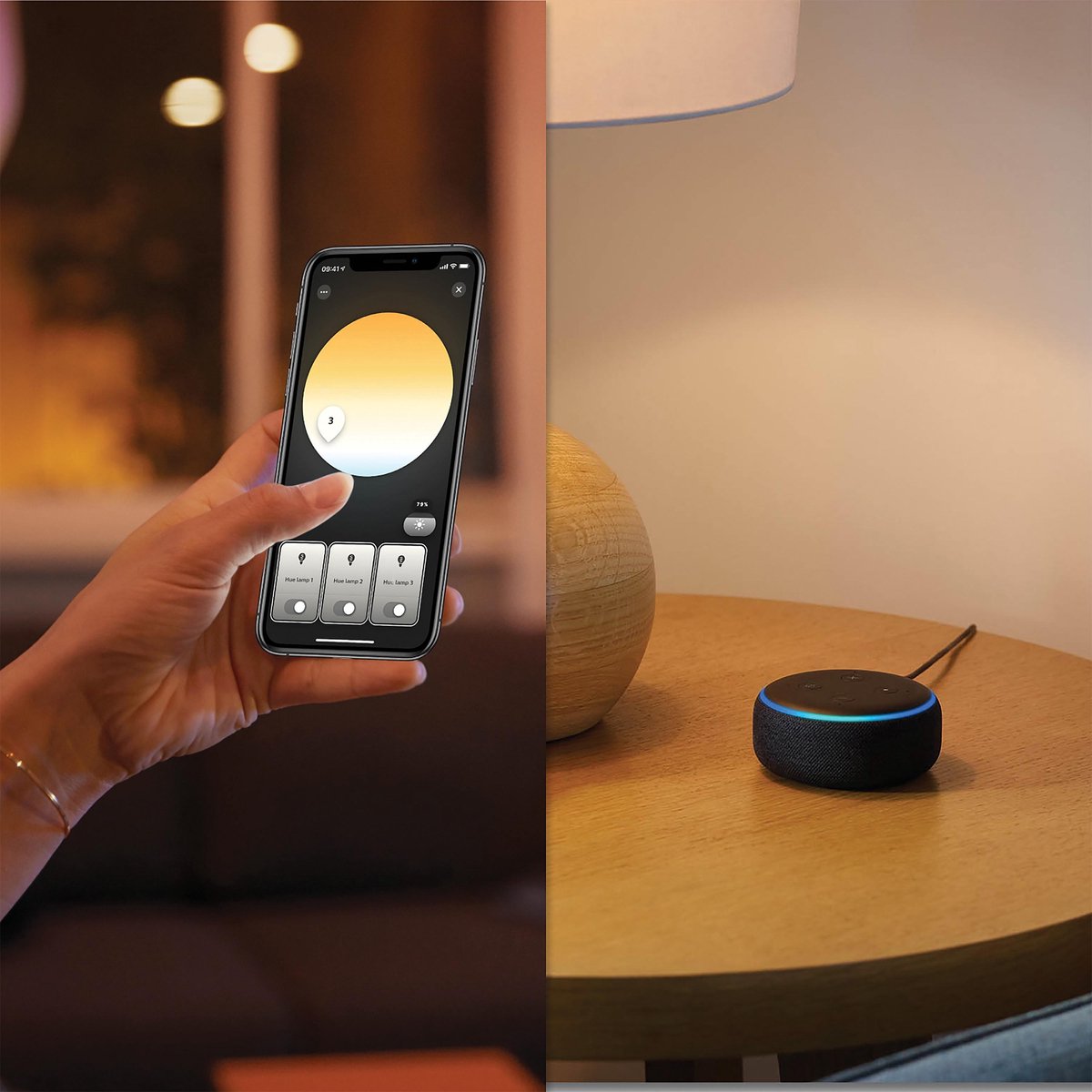 Philips HUE Enrave plafondlamp WA DS 26 cm - Wit