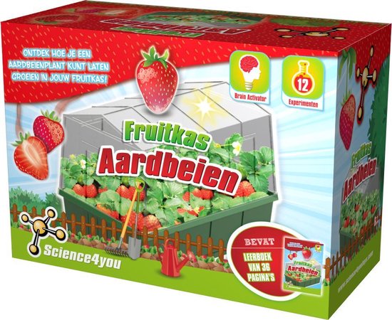 Science 4 You Science4you Fruitkas Aardbeien - Rood