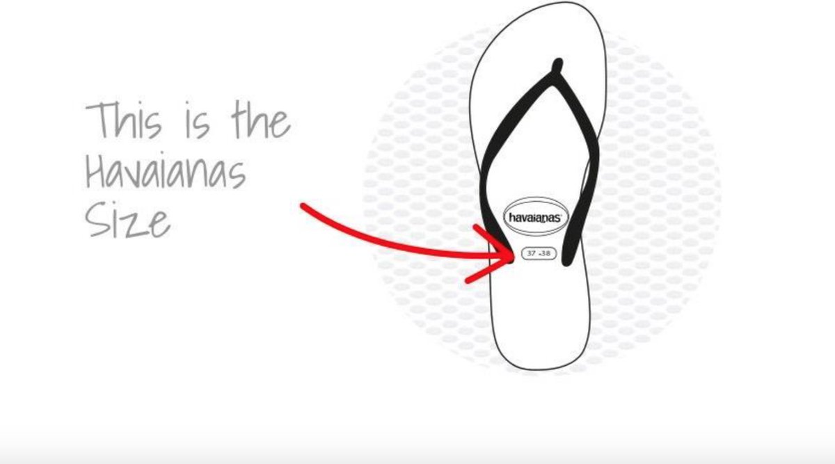 Havaianas - Brasil Logo - Blauw