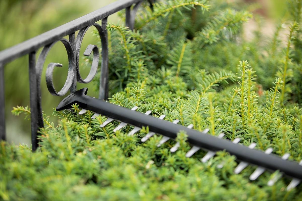 Bosch UniversalHedgeCut 18v-55 (zonder accu)