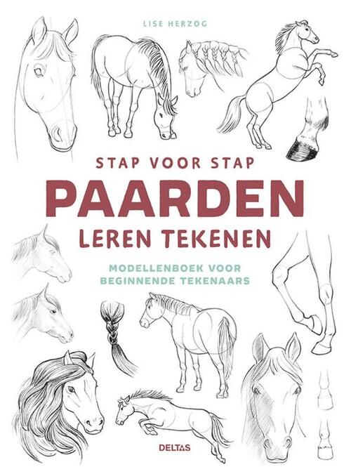 Stap voor stap paarden leren tekenen