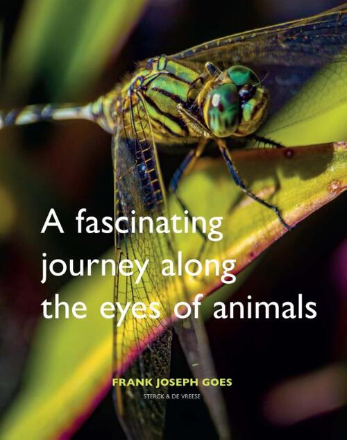 A fascinating journey along the eyes of animals