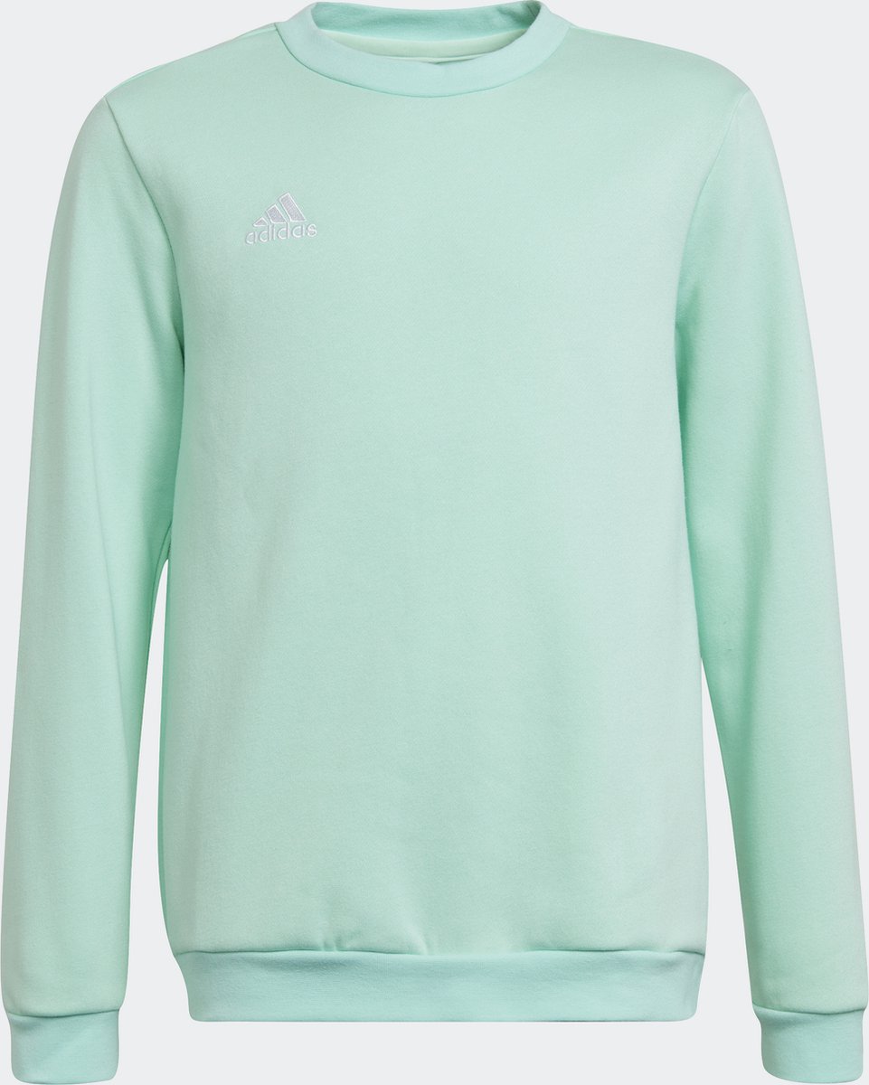 Sweater - Groen