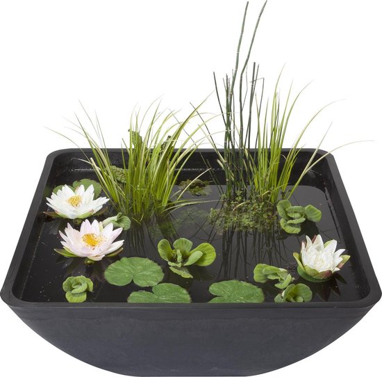 Velda Fonteinvijver Vierkant 75x75x35 Cm 123516 - Grijs