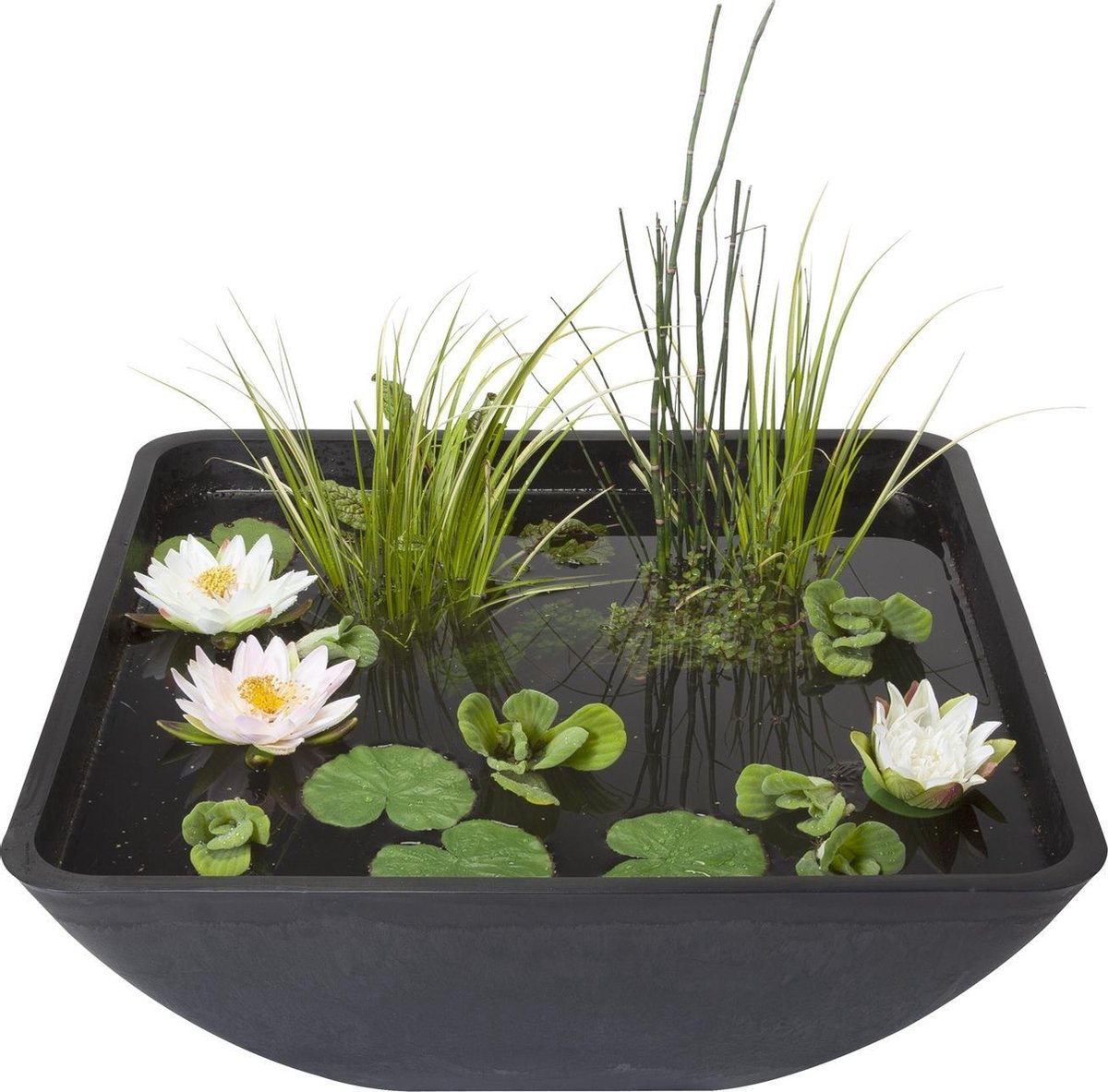 Velda Fonteinvijver Vierkant 75x75x35 Cm 123516 - Grijs