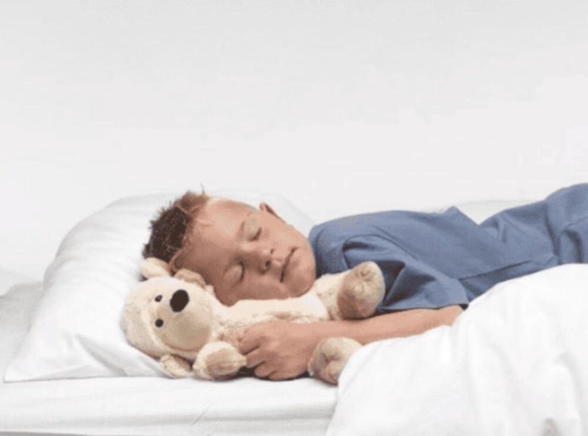 Warmies Beddy Bear - Lavendi (Met Lavendel) - Wit