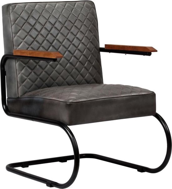 Vidaxl Fauteuil Echt Leer - Gris