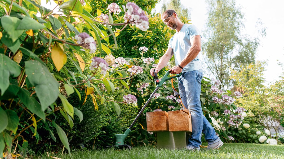 Bosch Easygrasscut 18 (zonder accu)