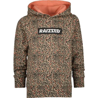 Raizzed Sweater - Oranje