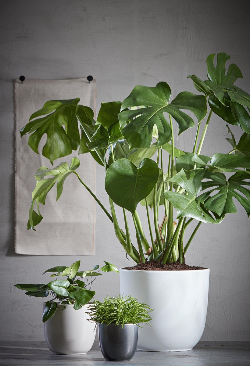 Mica Decorations Bloempot Pot Rond Es21 Tusca 23 X 25 Cm Mica - Wit