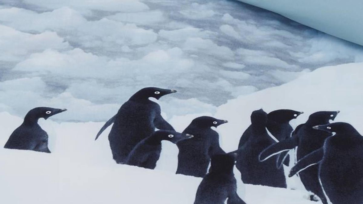 AMBIANTE Poul Dekbedovertrek - Lits-jumeaux (240x200/220 Cm + 2 Slopen) - Microvezel - Grey - Grijs