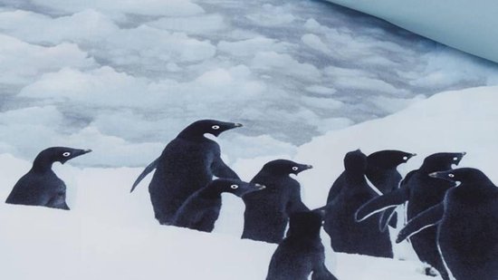 AMBIANTE Poul Dekbedovertrek - Lits-jumeaux (240x200/220 Cm + 2 Slopen) - Microvezel - Grey - Grijs