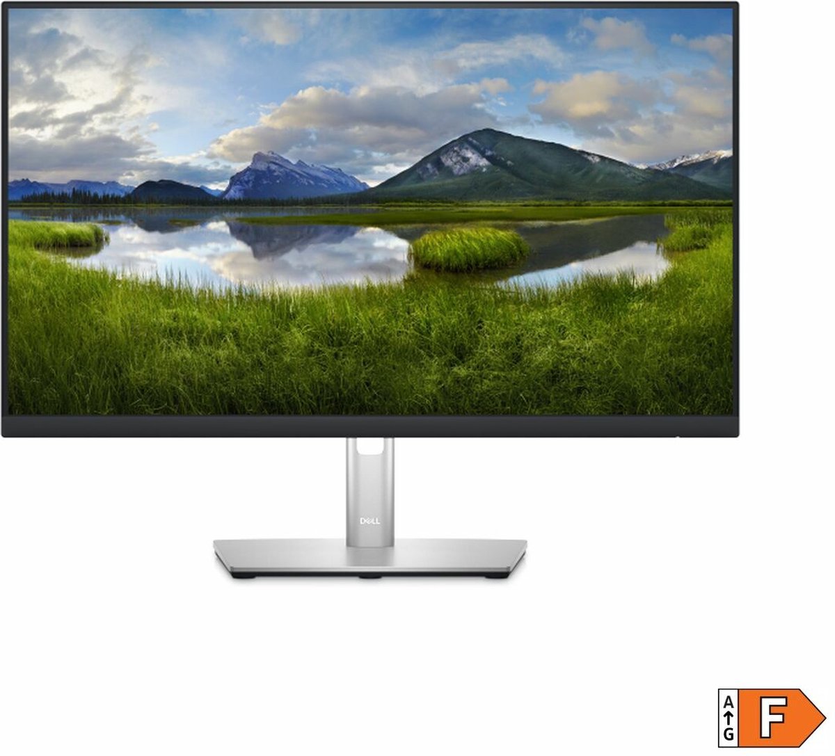 Dell P Series P2423DE - 23.8"