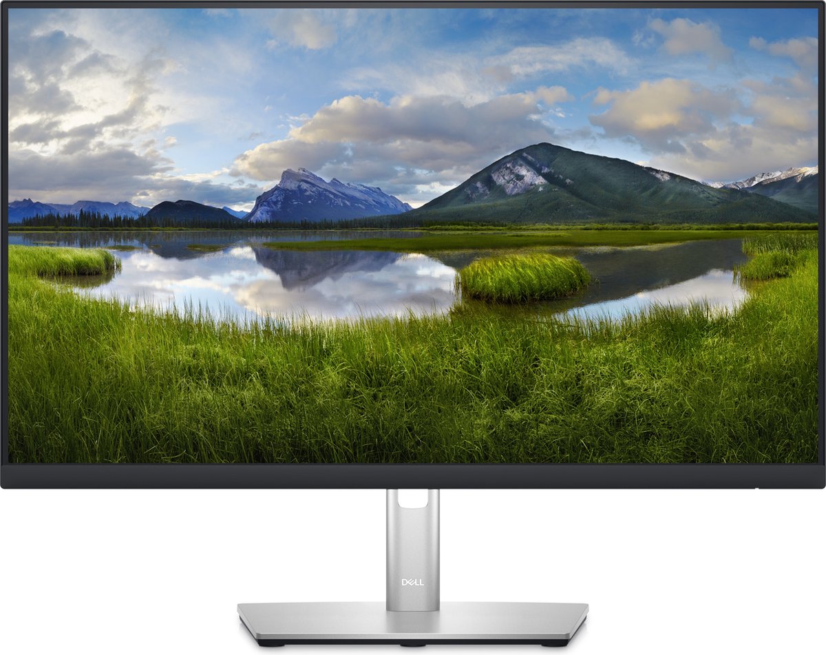 Dell P Series P2423DE - 23.8"