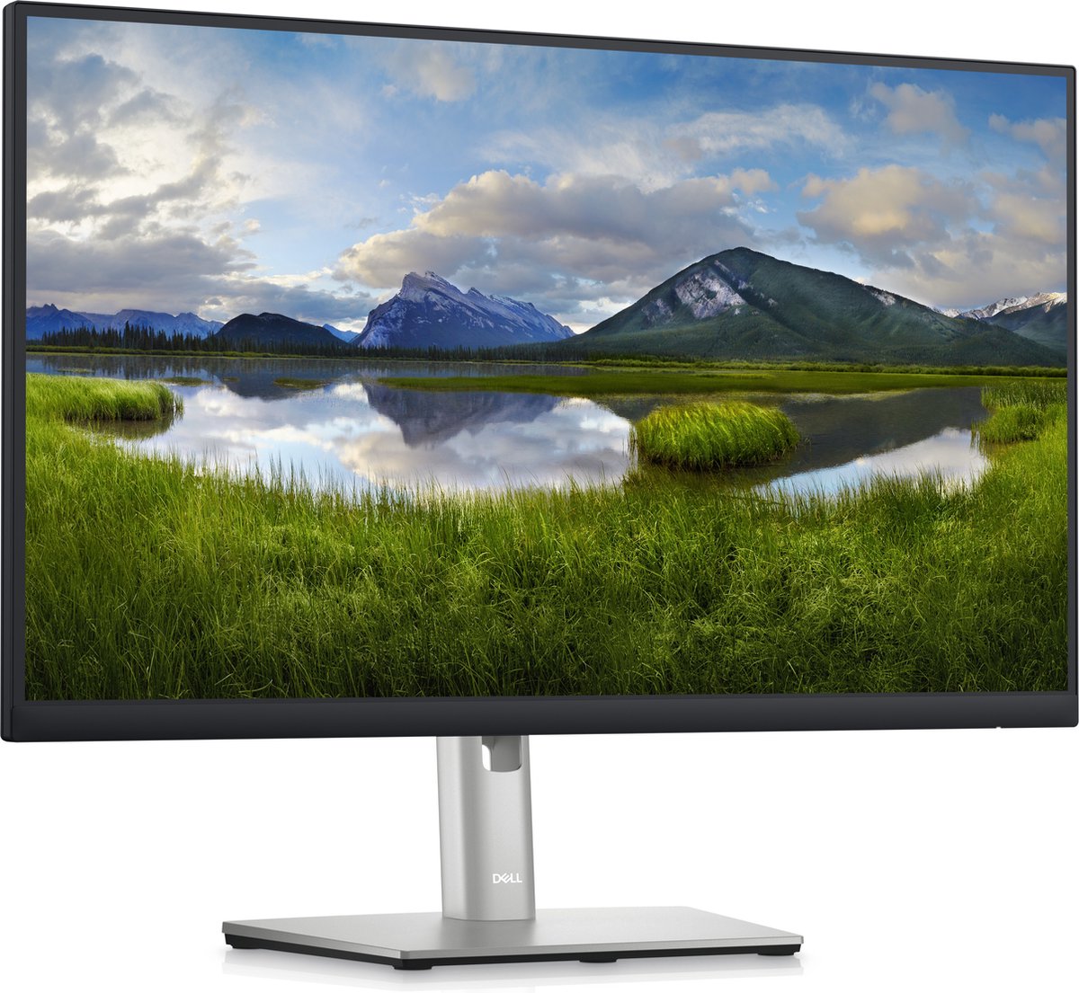 Dell P Series P2423DE - 23.8"