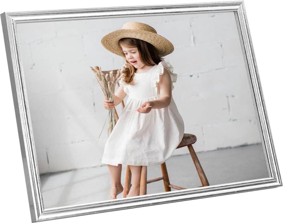 Vidaxl Fotolijsten 3 St Voor Wand Of Tafel 29,7x42 Cm Zilverkleurig - Silver
