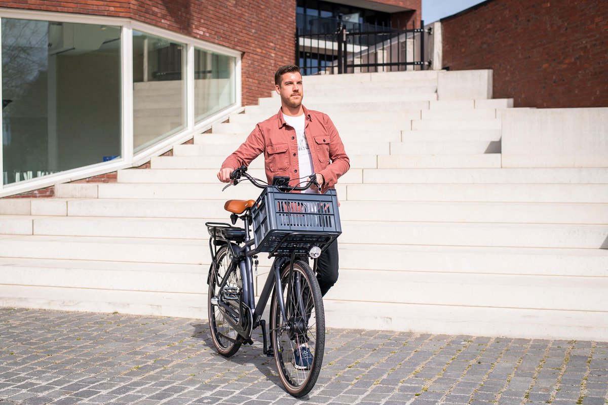 Amigo Elektrische Transportfiets E-strong T2 28 Inch 59 Cm Heren 3v Rollerbrake Matgrijs