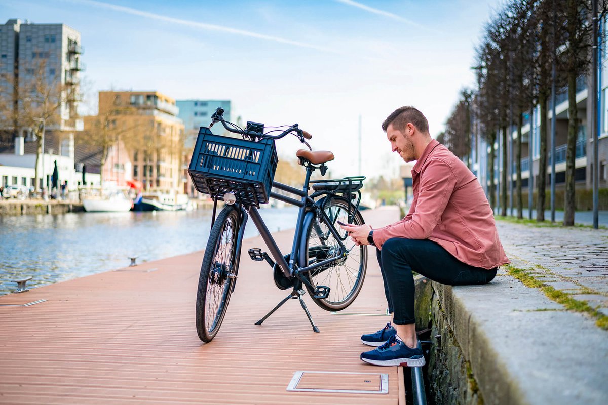 Amigo Elektrische Transportfiets E-strong T2 28 Inch 59 Cm Heren 3v Rollerbrake Matgrijs