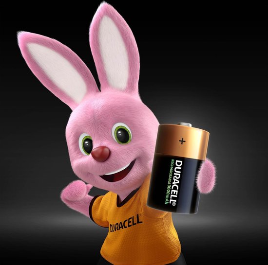 Duracell Oplaadbare Batterijen D, Blister Van 2 Stuks