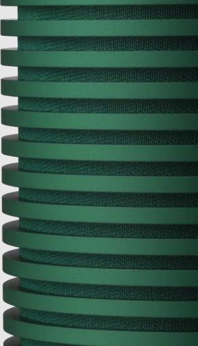 Bang & Olufsen Beosound Explore - Groen