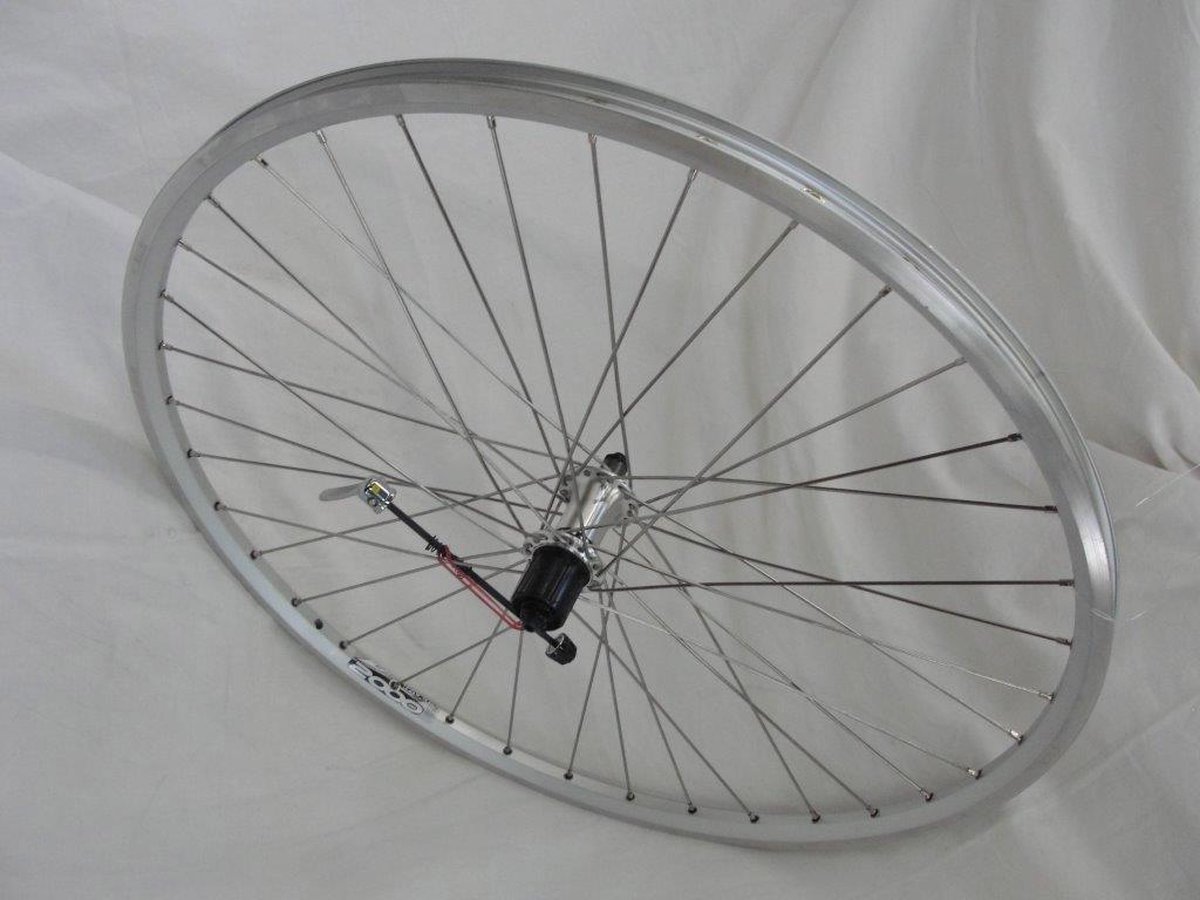 Roland Achterwiel Zac2000 28 Inch (622-19) Aluminium 7v Zilver - Silver