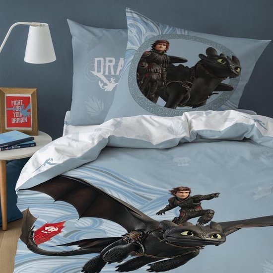 Hoe Tem Je Een Draak Riders Dekbedovertrek - Eenpersoons - 140 X 200 Cm - Multi