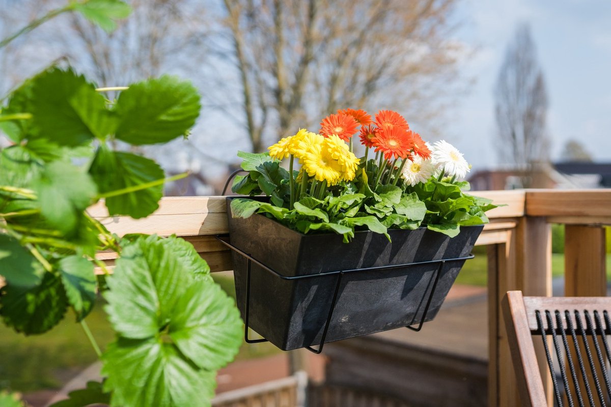 Bloempot/plantenpot Balkonbak Van Gerecycled Kunststof D55 X 17 En H17 Cm - Plantenbakken - Zwart