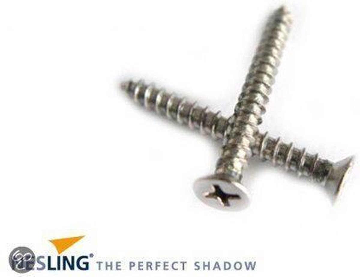 Nesling Schroeven 20x, Rvs