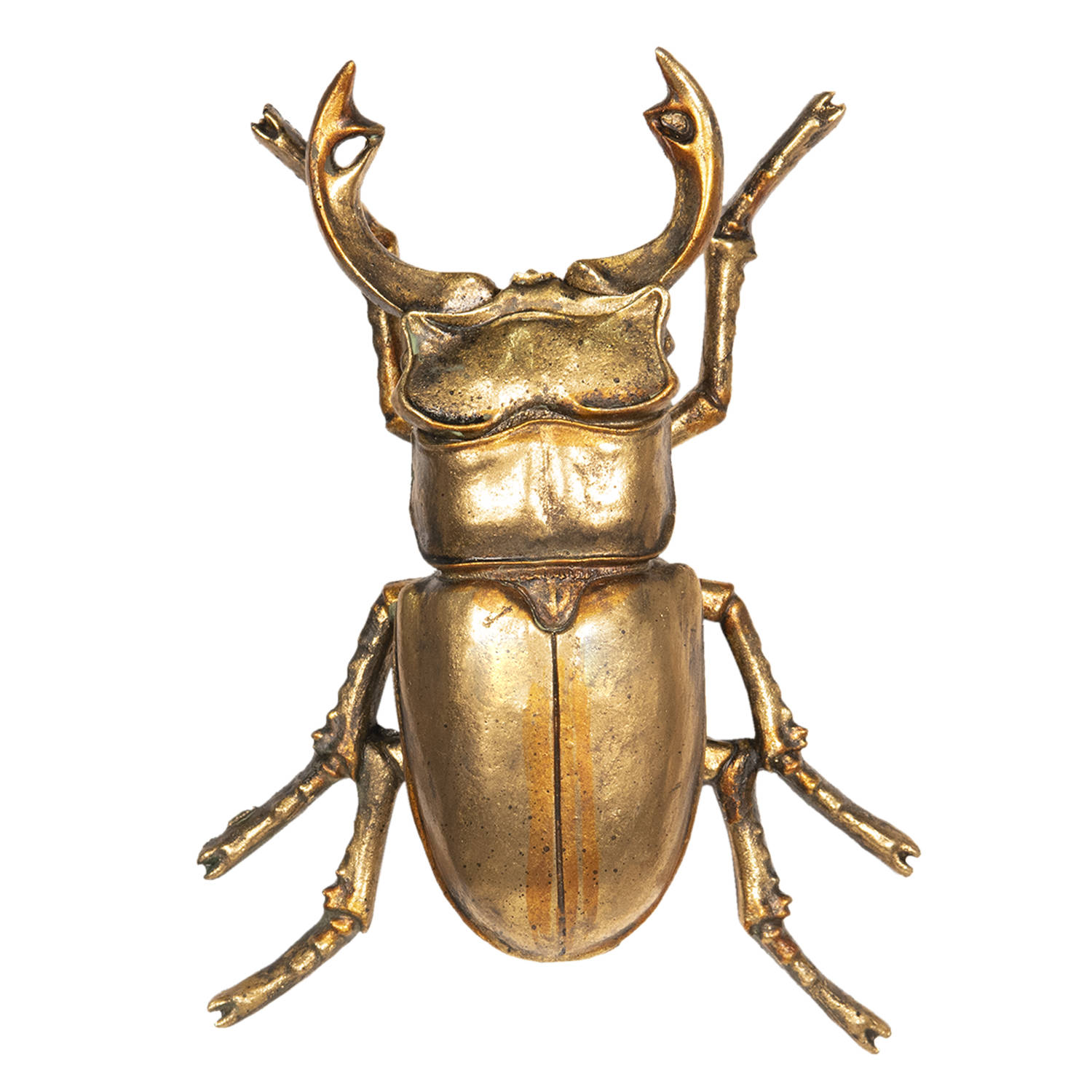 Clayre & Eef Decoratie Insect 24x17x6 Cm - Goud