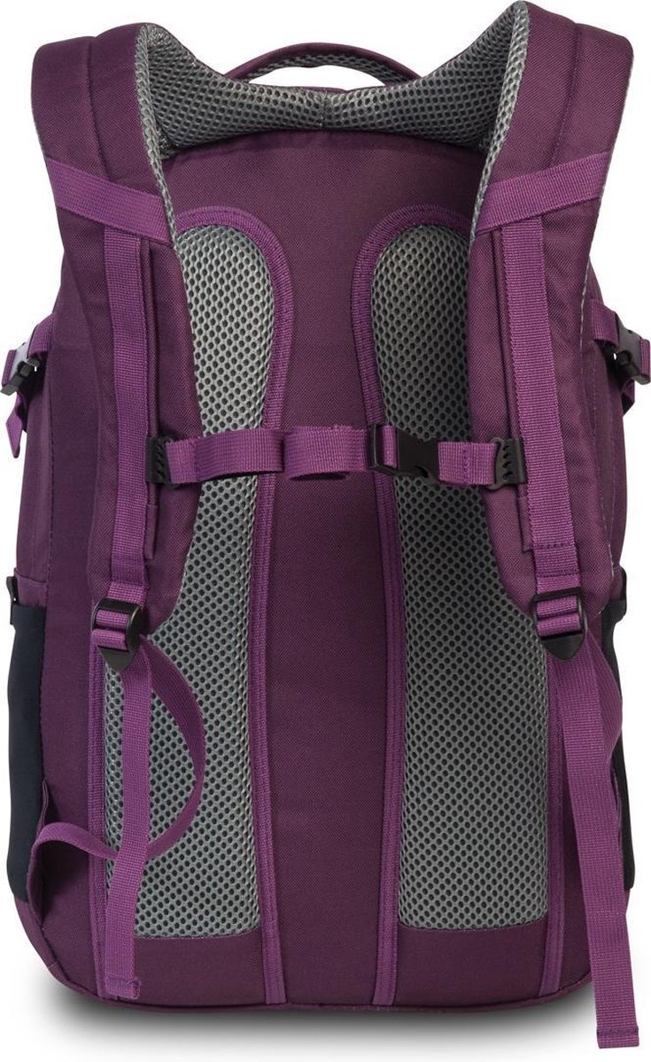 Bestway Evolution Air Rugzak 22 Liter Paars/ - Blauw