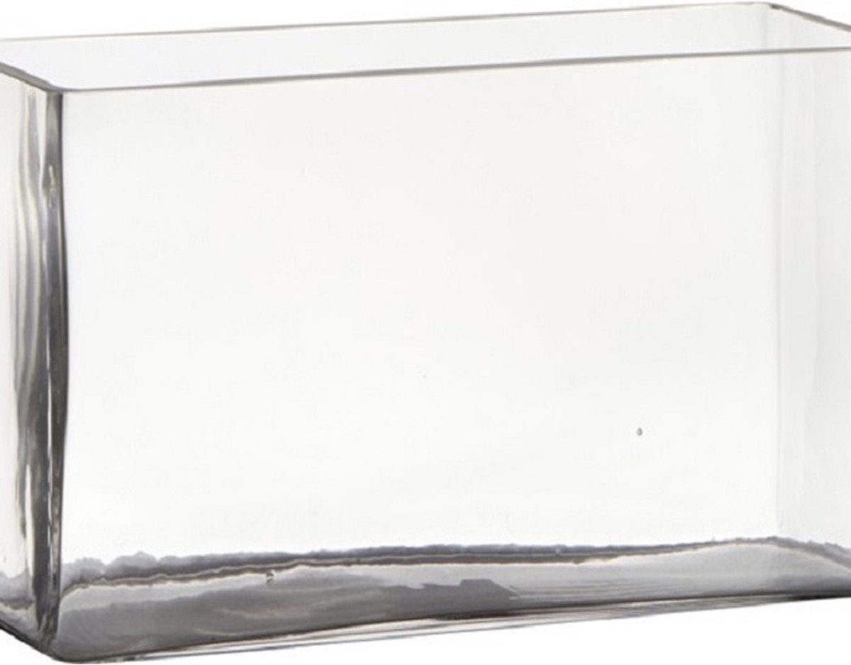 Transparante Rechthoek Accubak Vaas/vazen Van Glas 25 X 10 X 15 Cm - Vazen