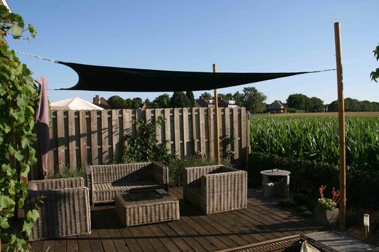 Sunfighters Vierkant 6 Meter - Zwart