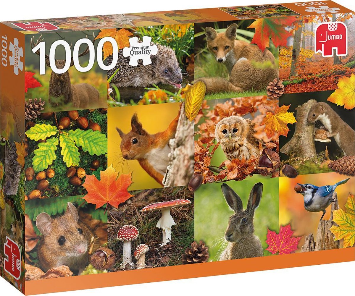 Jumbo Legpuzzel Herfst 1000 Stukjes