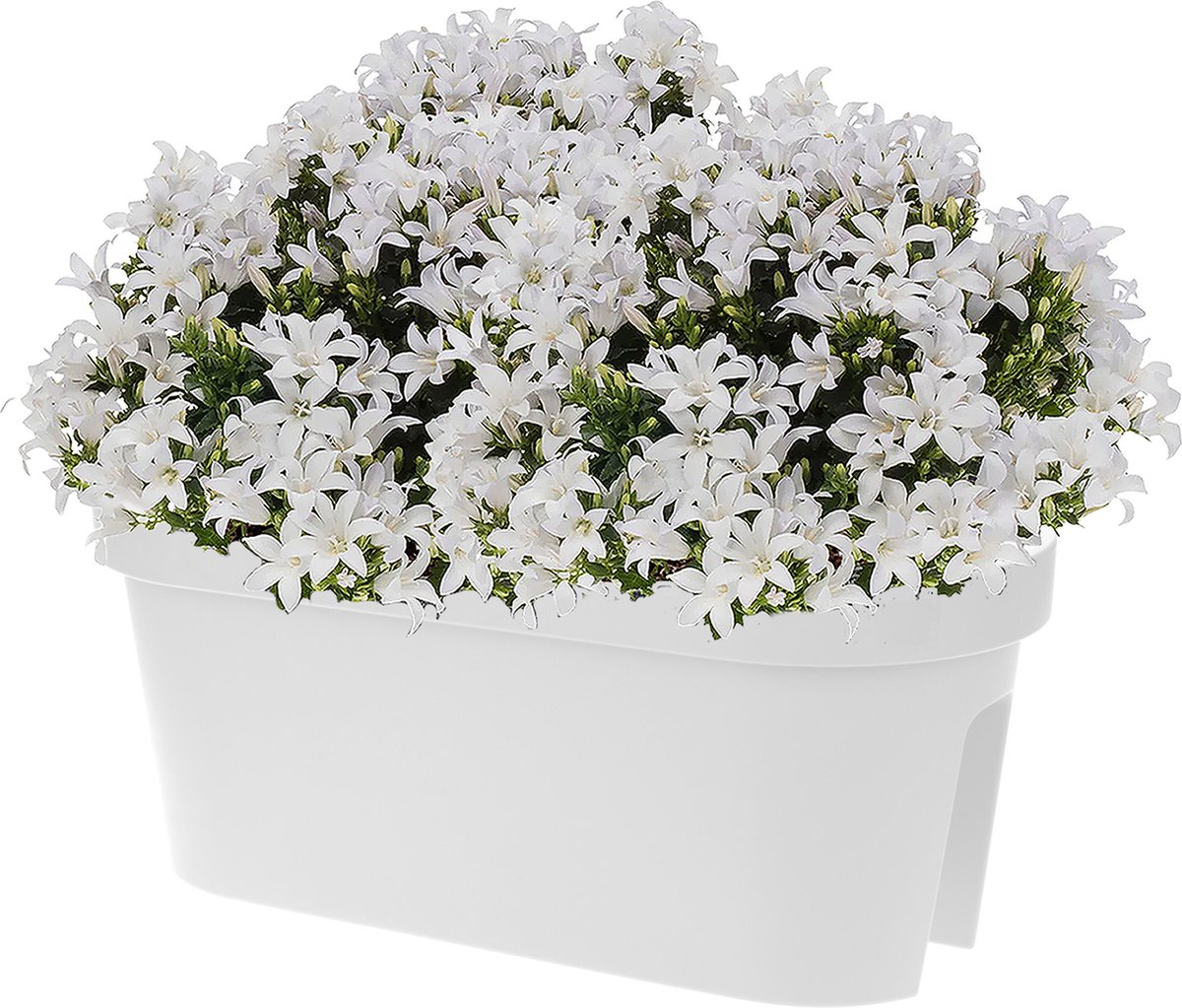 Balkon Plantenbak/bloembak 60 X 25 Cm Ovaal Van Kunststof - Plantenpotten - Wit