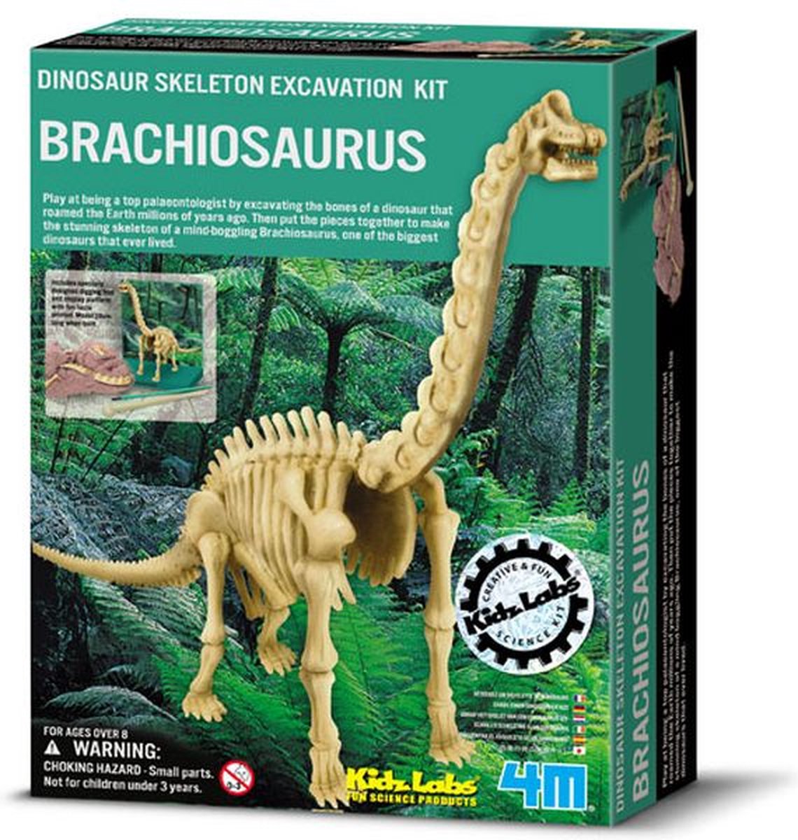 4M  Kidzlabs: Graaf-je-dinosaurus-op (Brachiosaurus)