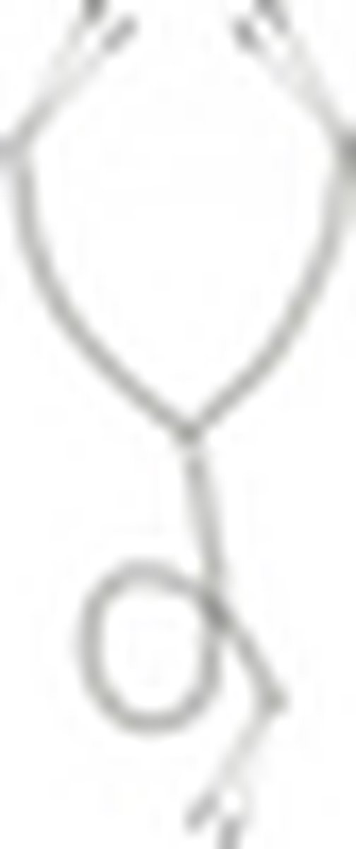 Master Series Tepel en clitoris klemset - Silver