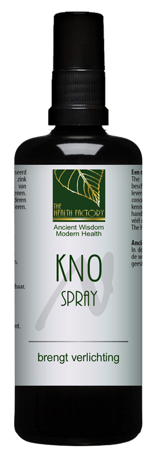 Health Factory The - KNO spray with Zinc and 100 ml - Silver