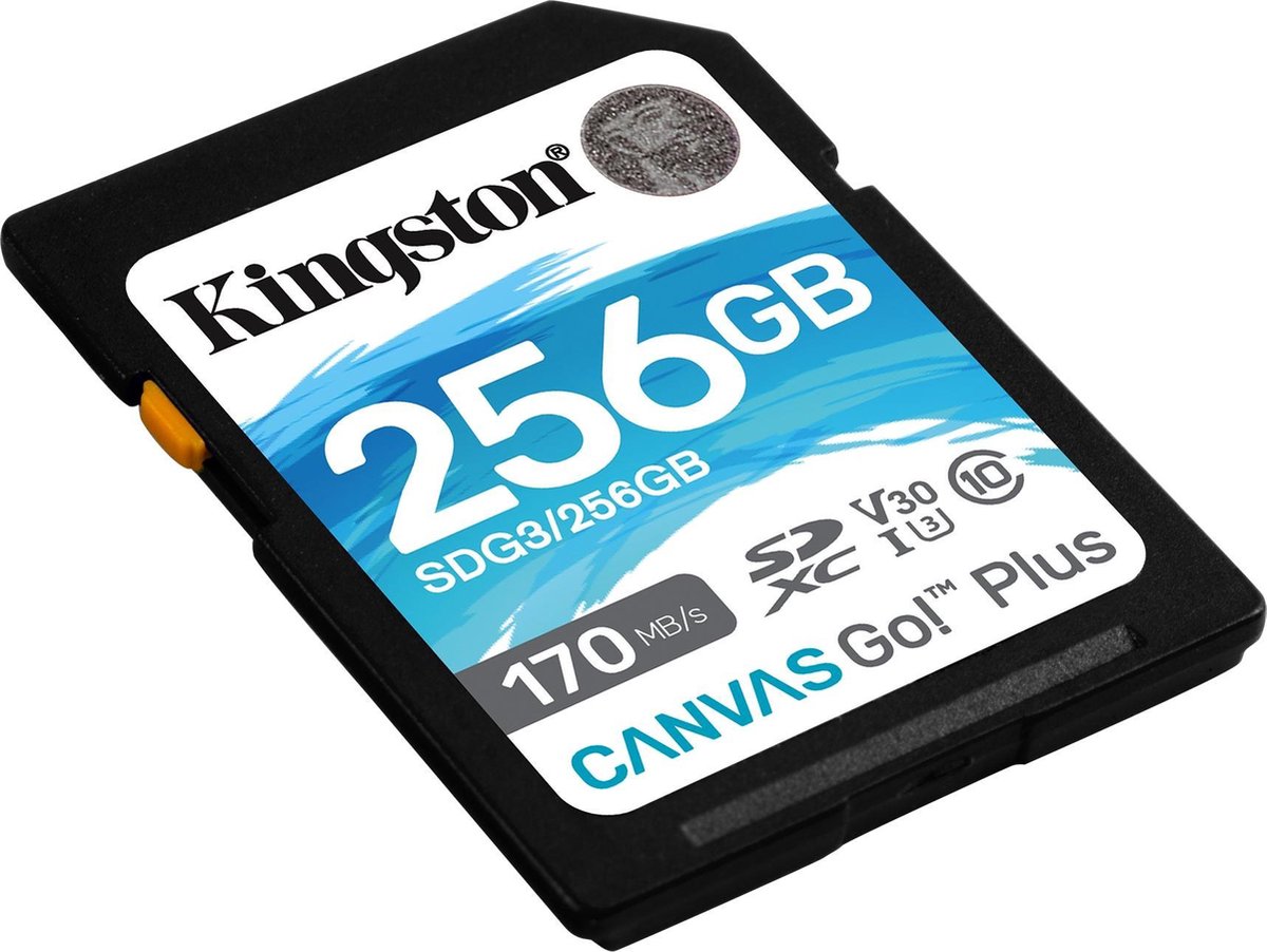 Kingston Canvas Go Plus 256GB - Zwart