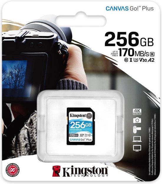 Kingston Canvas Go Plus 256GB - Zwart