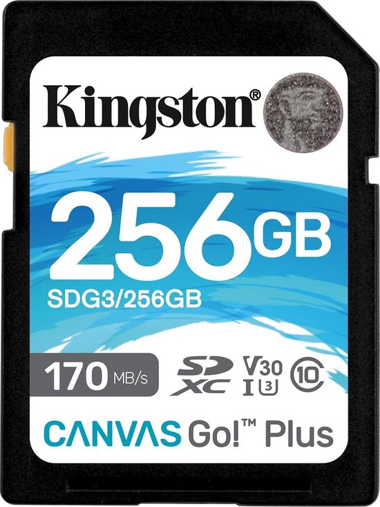 Kingston Canvas Go Plus 256GB - Zwart