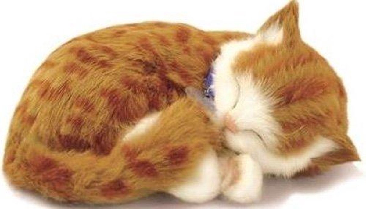 Perfect Petzzz Knuffel Kitten Orange Tabby - Rood