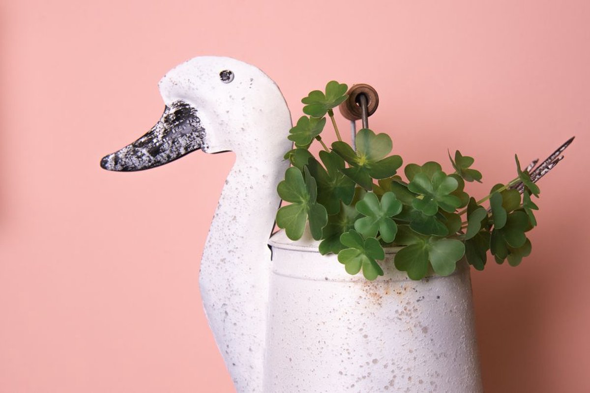 Clayre & Eef Decoratie Gieter Eend 31x16x27 Cm