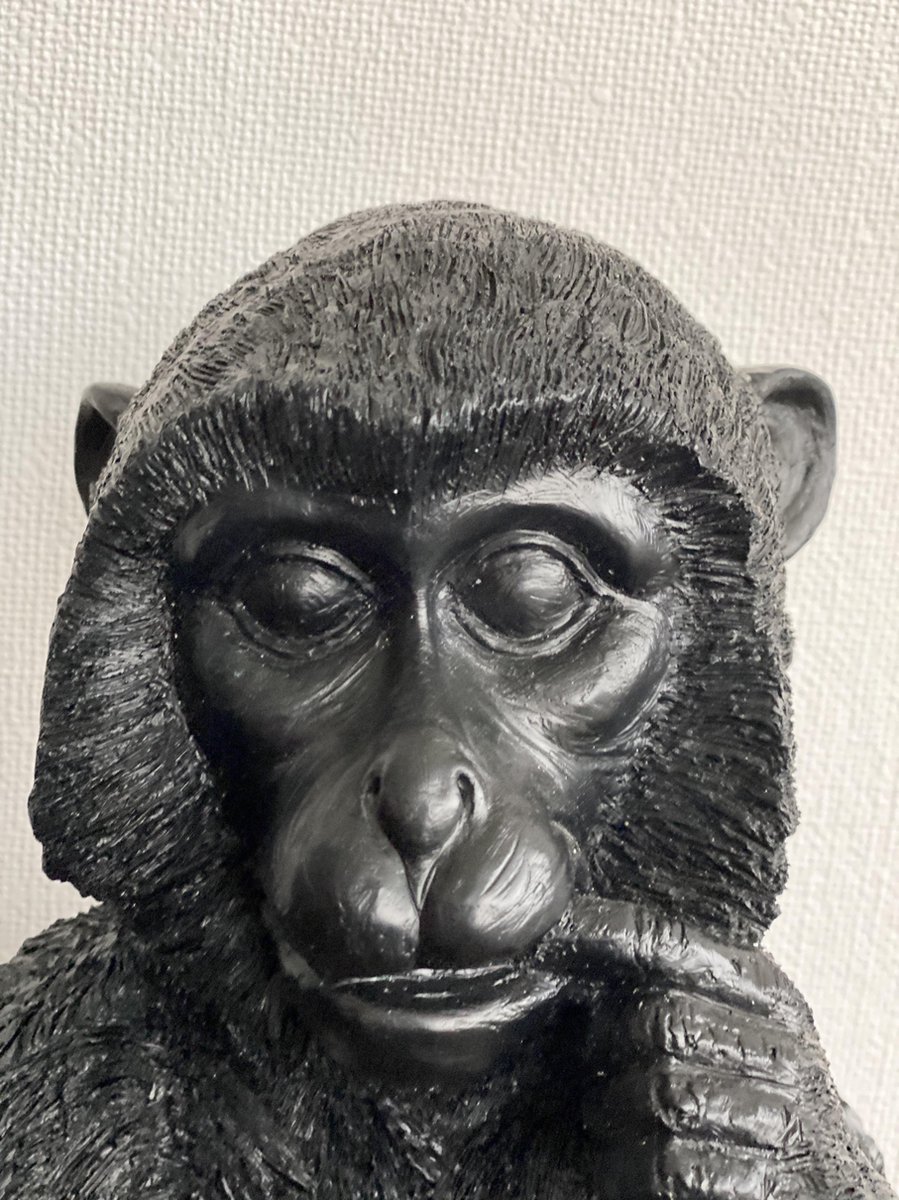 Light & Living Tafellamp Aap - Zwart